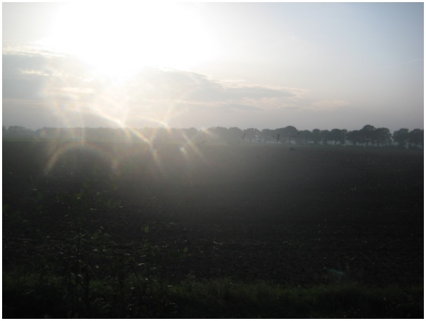 584x433 pixels (48K)