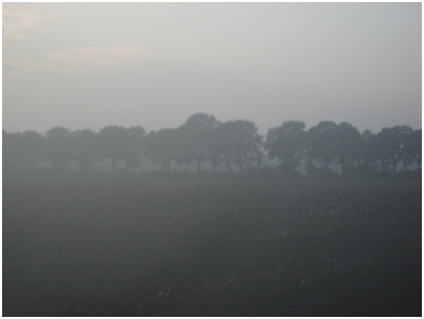 584x433 pixels (37K)